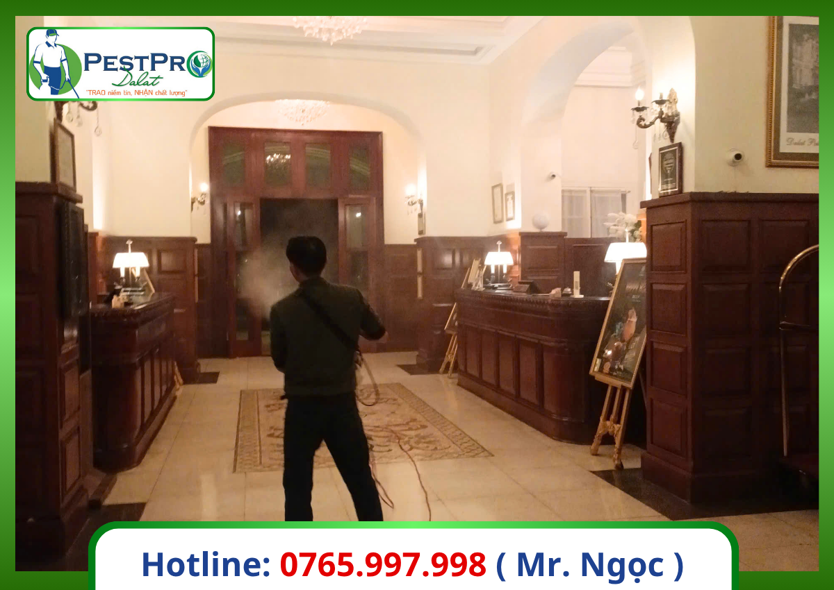 Cách diệt gián Đức