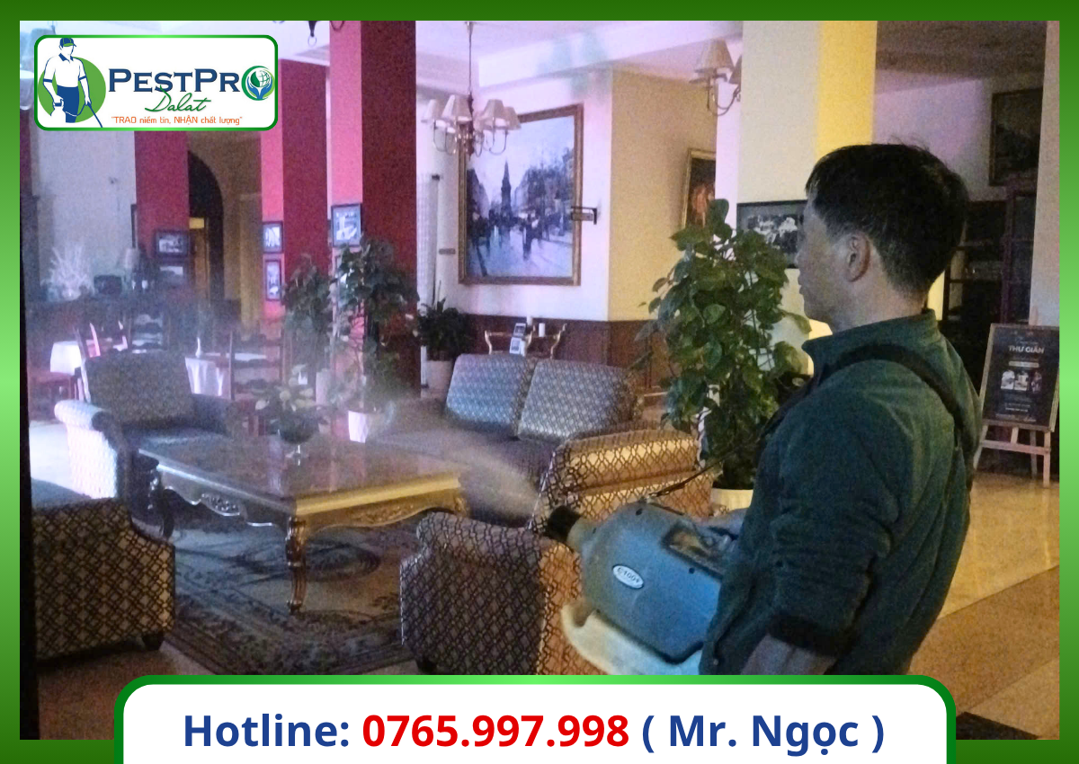Cách diệt gián Đức