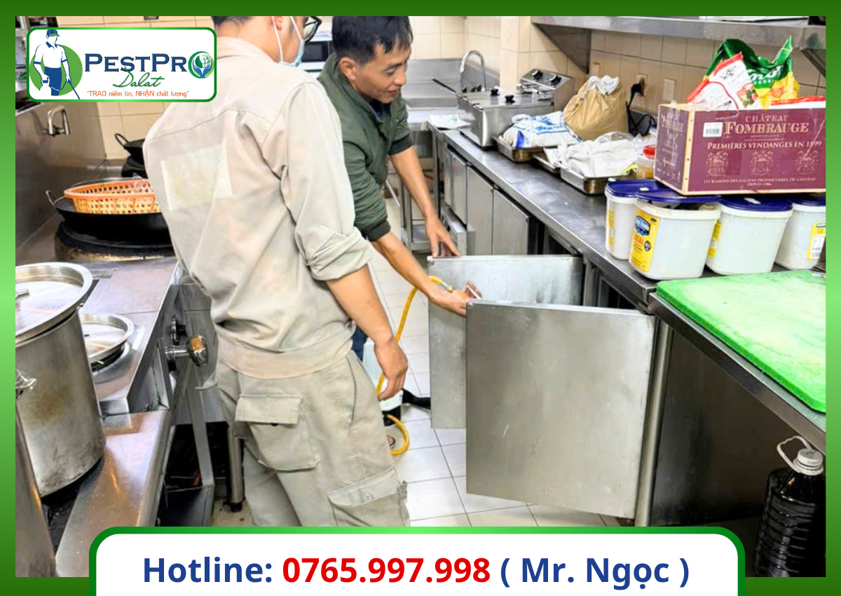Cách diệt gián Đức