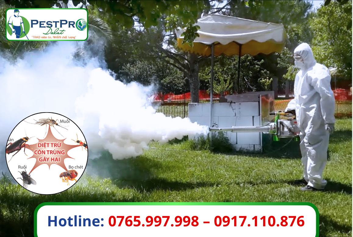 Đơn Vị Diệt Côn Trùng Tại Đà Lạt