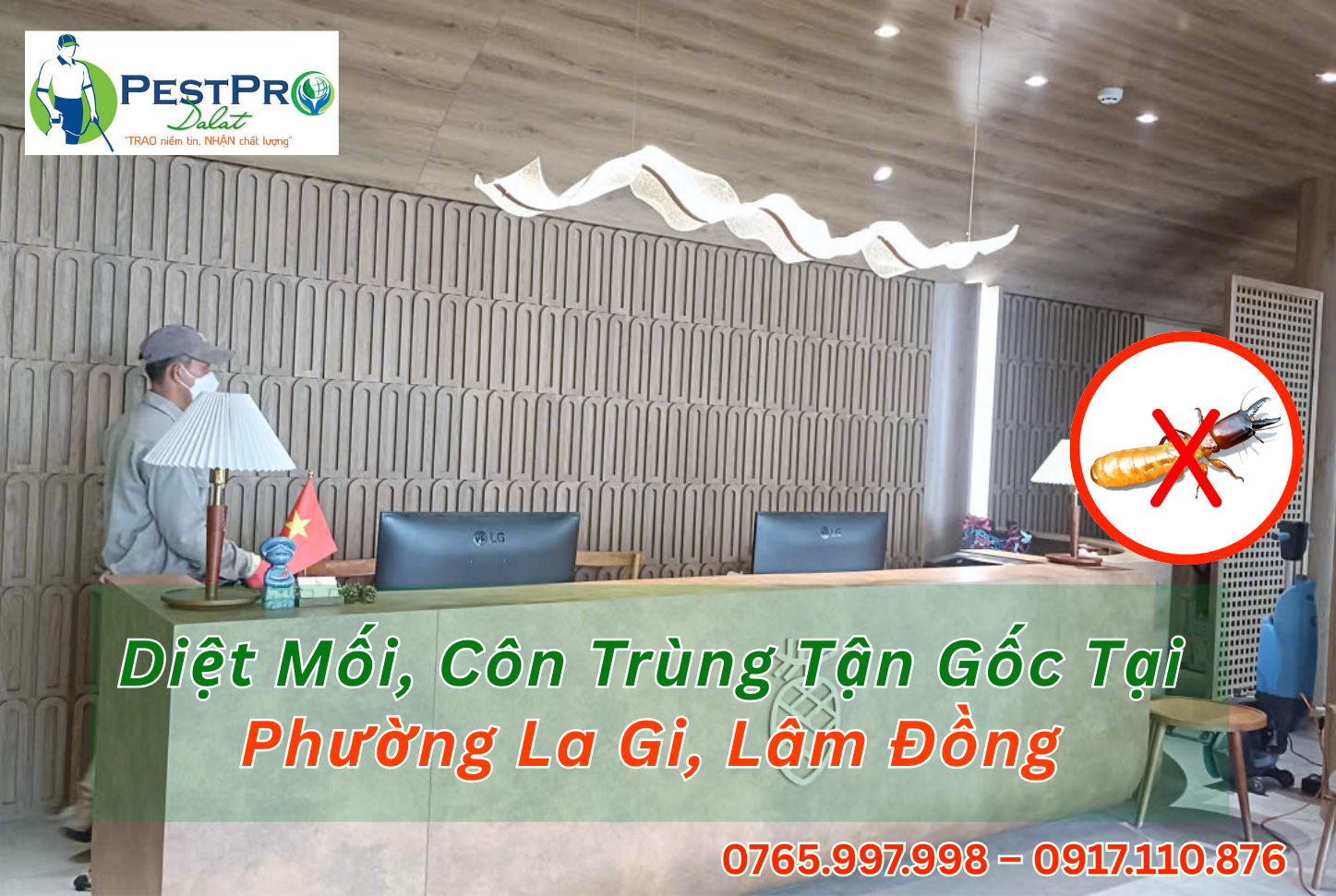 Diệt Mối, Côn Trùng Tận Gốc Tại Phường La Gi, Lâm Đồng