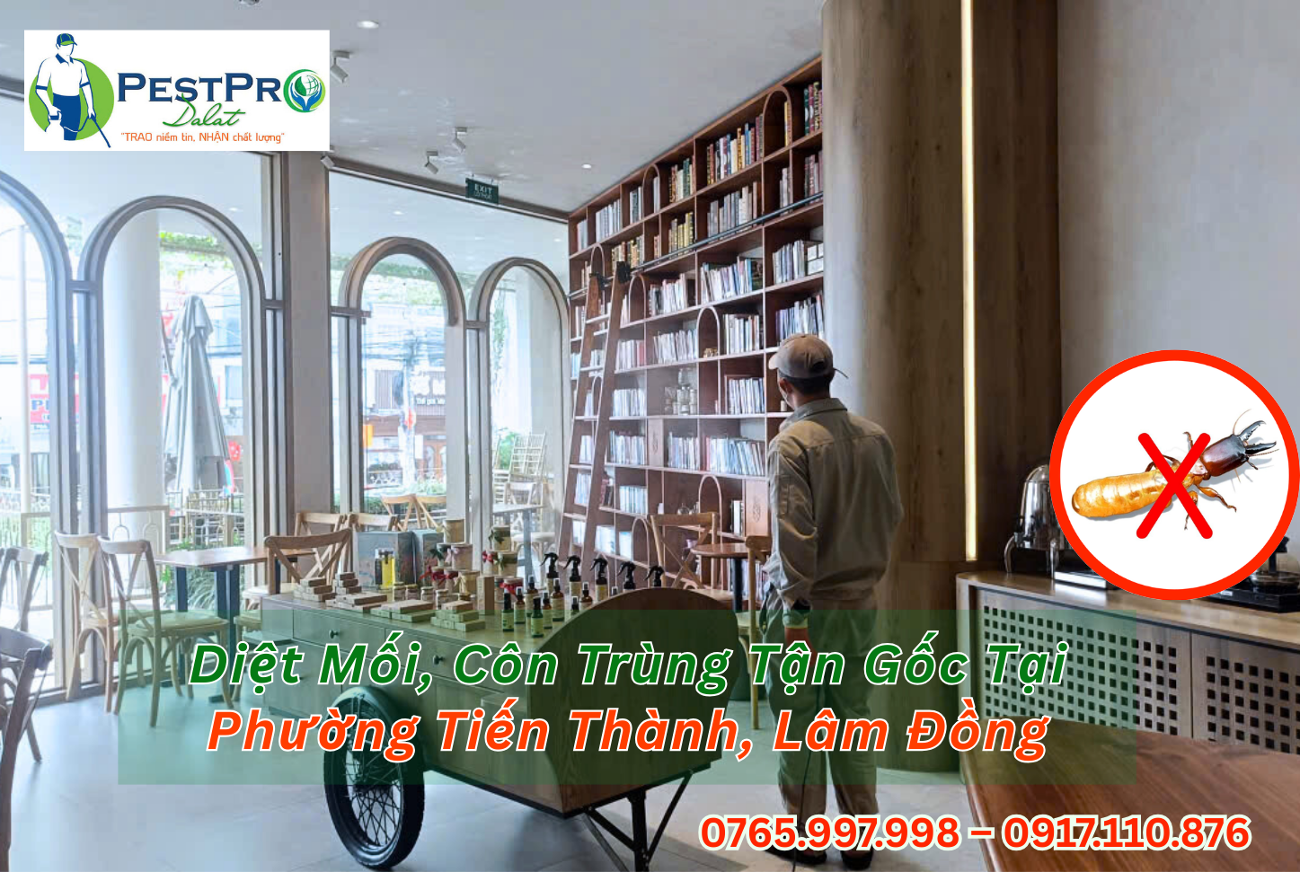 Diệt Mối, Côn Trùng Tận Gốc Tại Phường Tiến Thành, Lâm Đồng