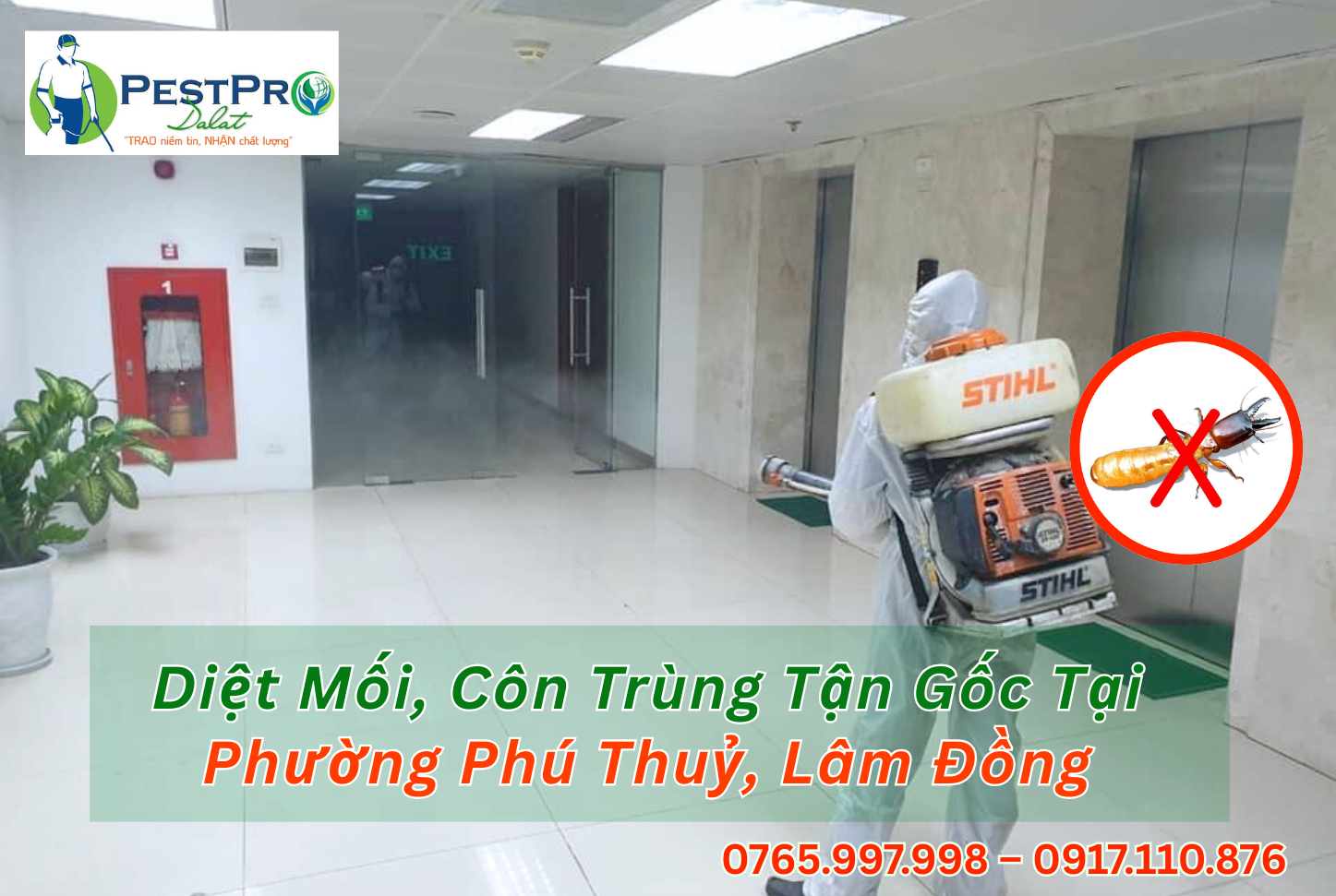 Diệt Mối, Côn Trùng Tận Gốc Tại Phường Phú Thuỷ, Lâm Đồng