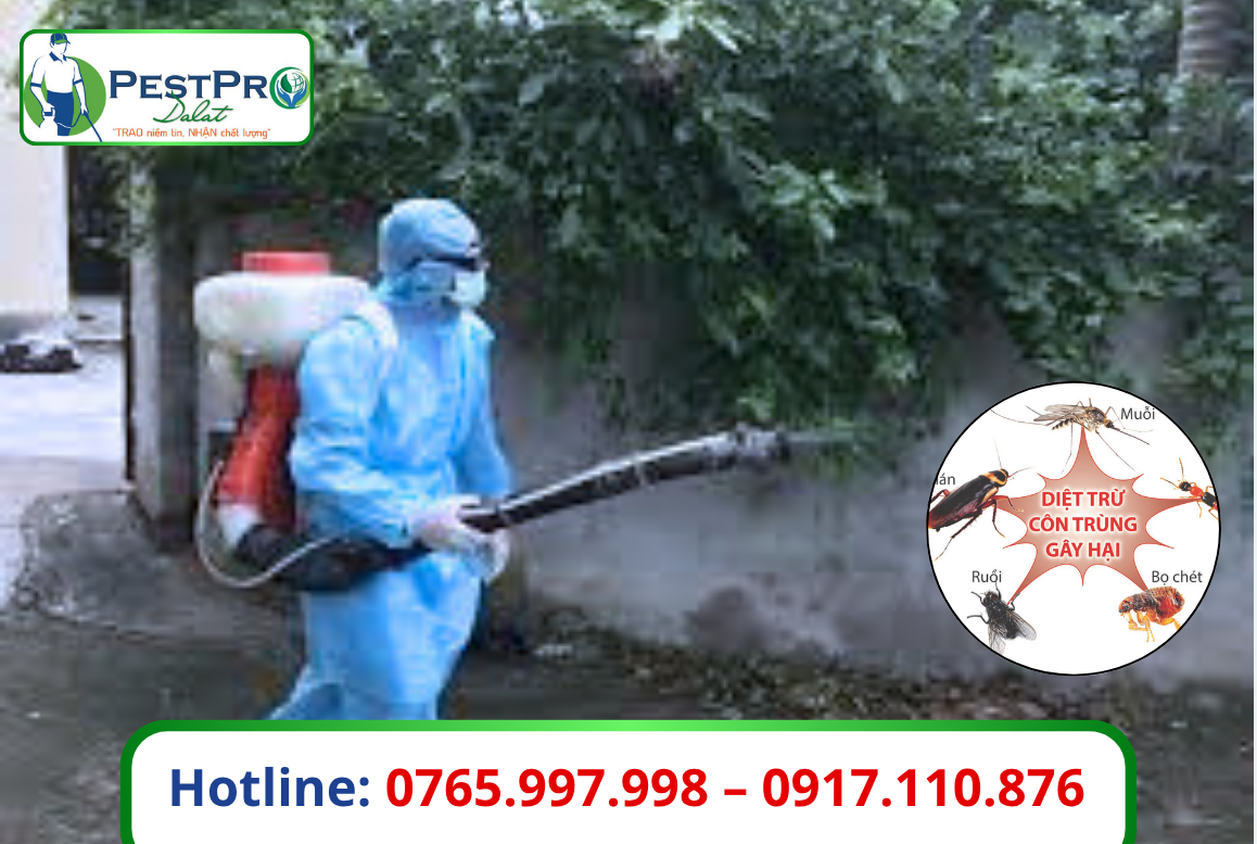 Kiểm Soát Côn Trùng Tại Đà Lạt