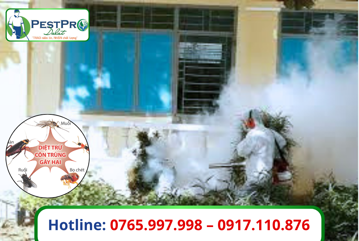 Xử Lý Côn Trùng Tận Gốc Đà Lạt