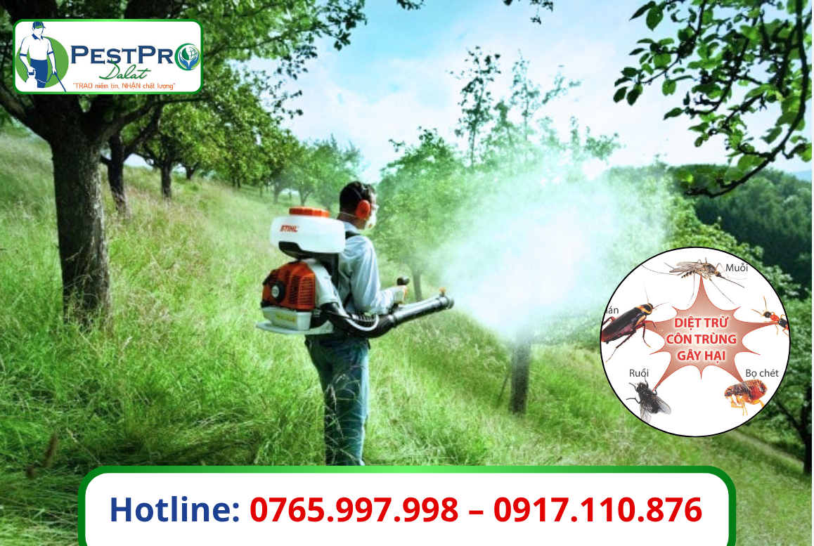 Đơn Vị Diệt Côn Trùng Tại Đà Lạt