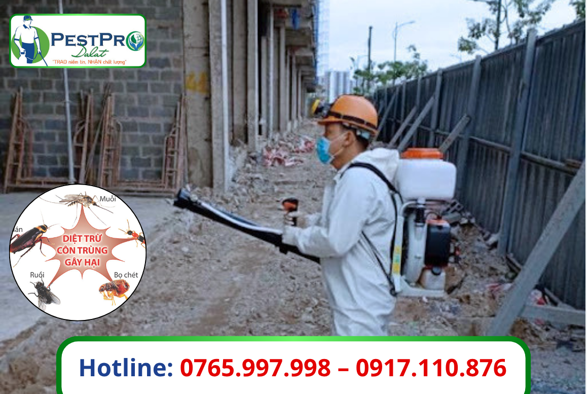Xử Lý Côn Trùng Tận Gốc Đà Lạt
