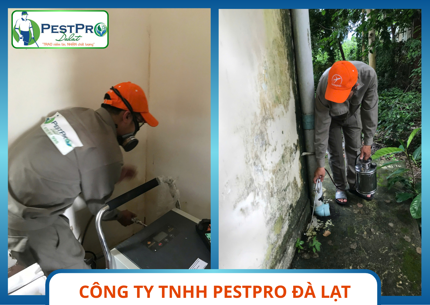 Dịch vụ kiểm soát côn trùng tại Bình Thuận: phun xử lý bờ cỏ ven ao để hạn chế muỗi