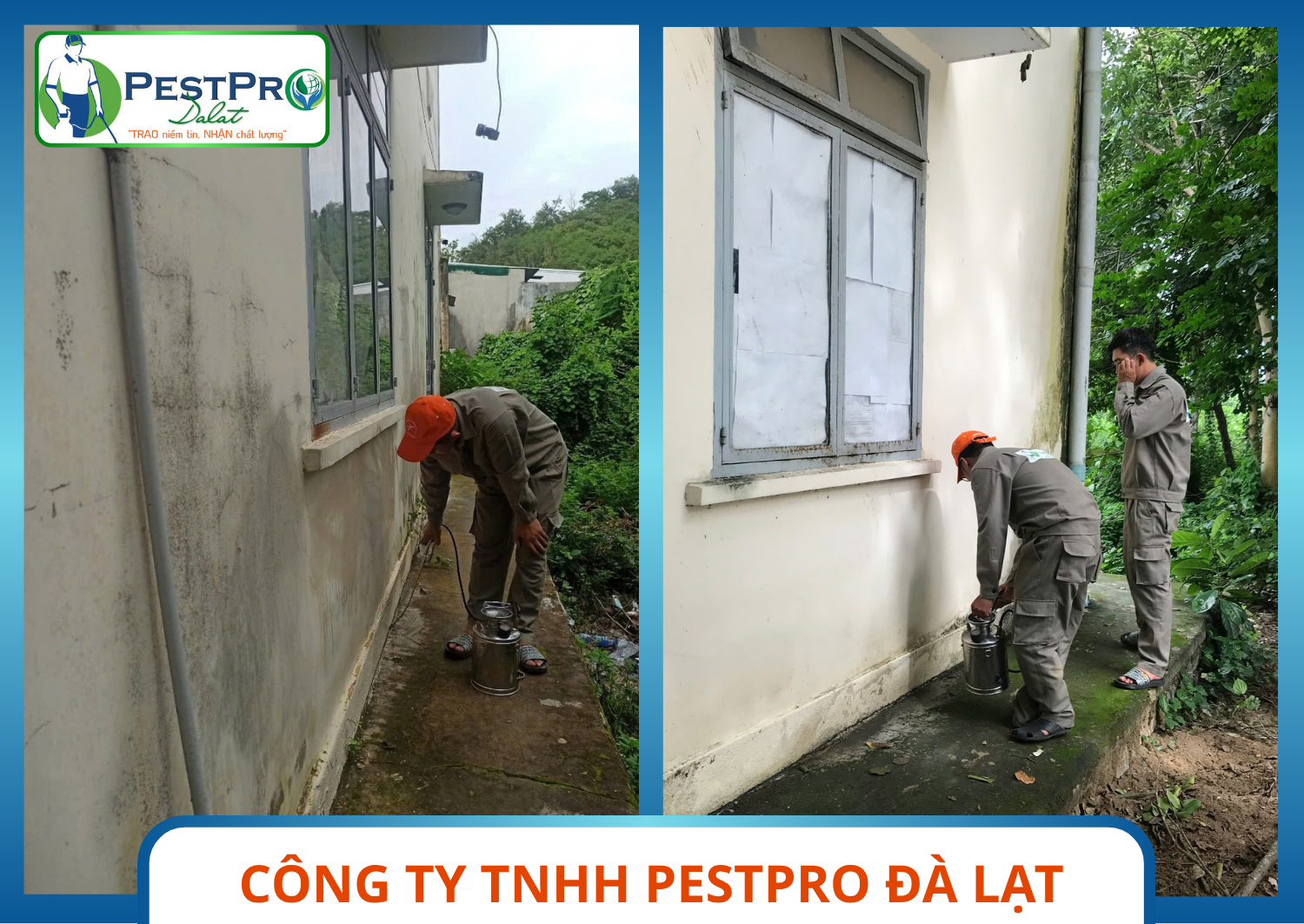 PestPro Đà Lạt thực hiện Dịch Vụ Kiểm Soát Côn Trùng phun quanh gốc cây và chân tường rào