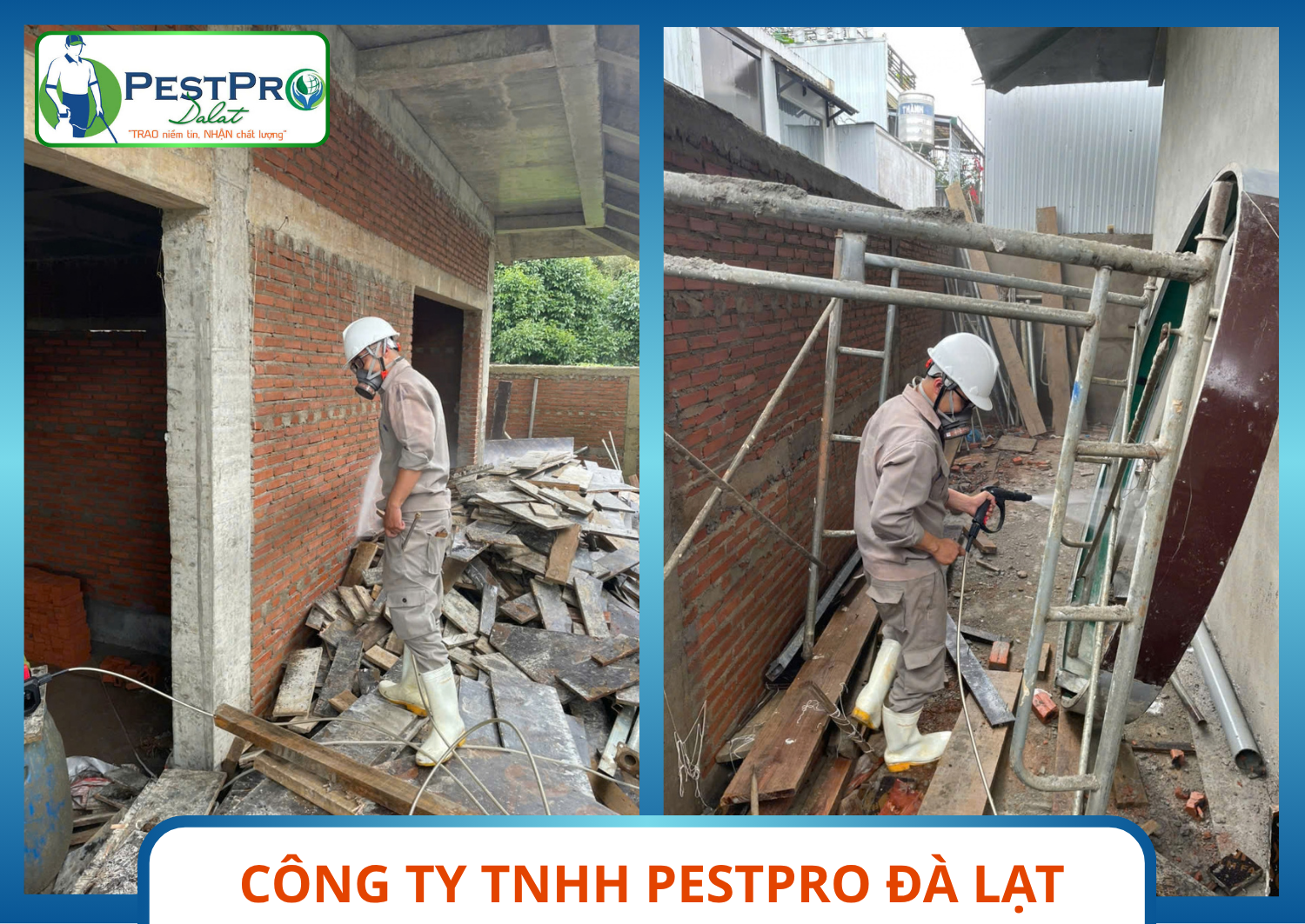 Công Ty Diệt Côn Trùng Tại Bình Thuận phun thuốc diệt côn trùng khu vực tường rào, cây leo
