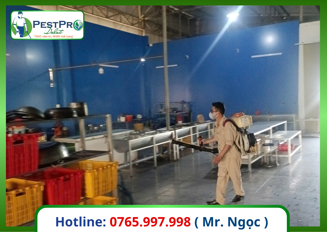 Dịch Vụ Kiểm Soát Côn Trùng Gây Hại