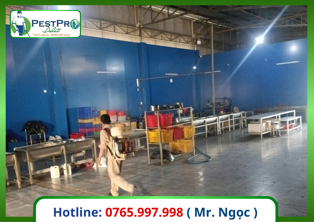 Diệt ruồi hiệu quả
