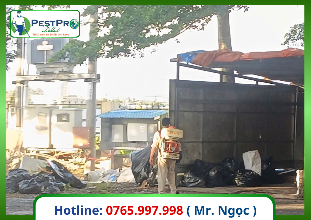 Công Ty Diệt Côn Trùng Gây Hại Số 1 Đà Lạt