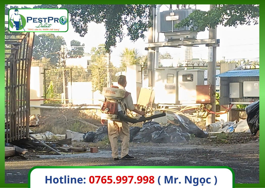 Dịch Vụ Kiểm Soát Côn Trùng Gây Hại