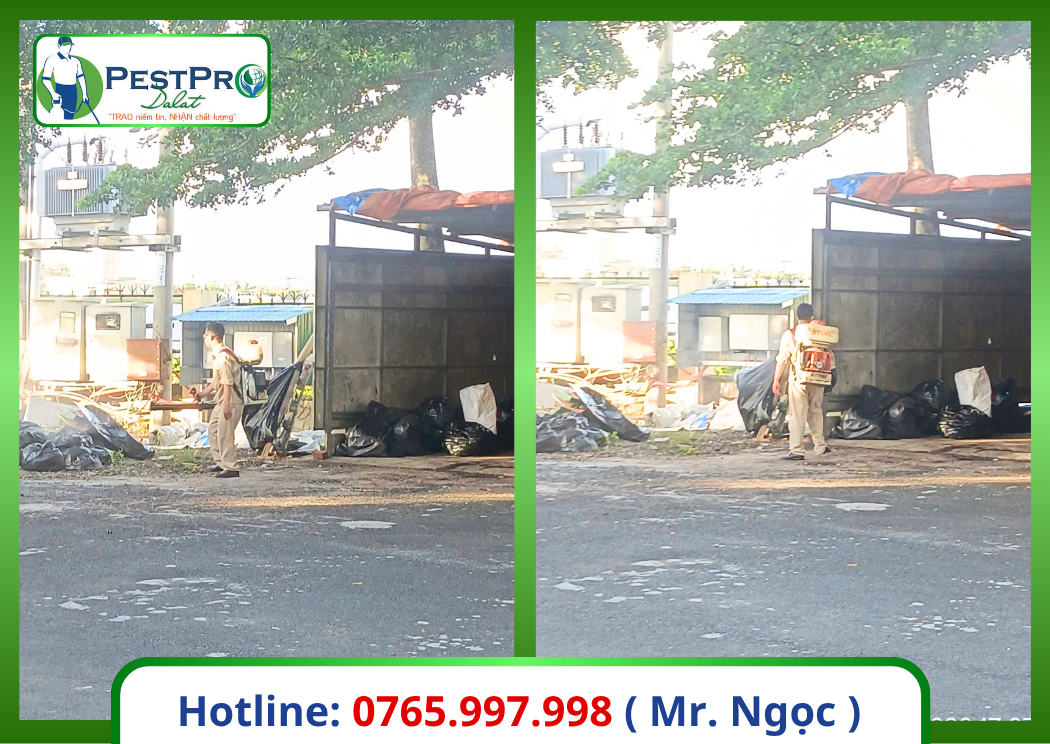 Công Ty Diệt Côn Trùng Gây Hại Số 1 Đà Lạt