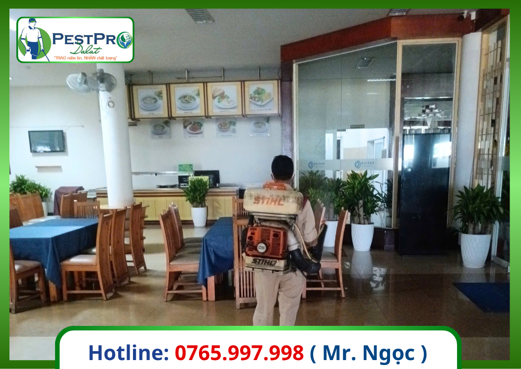 Dịch Vụ Kiểm Soát Côn Trùng tại Bình Thuận cho văn phòng, sảnh chờ với đồ bảo hộ kín