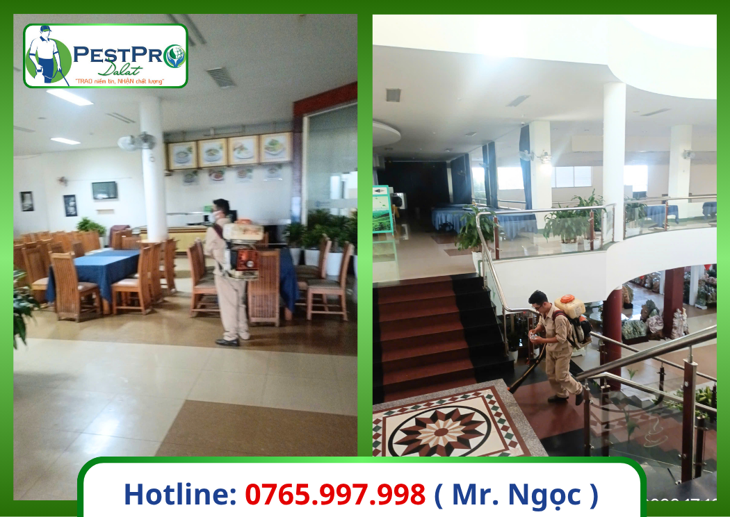 Xử Lý Côn Trùng Gây Hại Bình Thuận tại văn phòng, sảnh tiếp khách – PestPro Đà Lạt phun sương diệt côn trùng