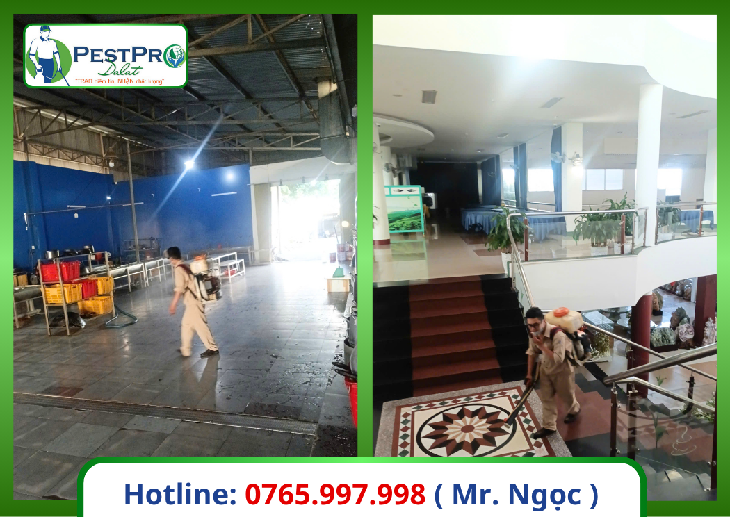 Dịch Vụ Kiểm Soát Côn Trùng Tại Đà Lạt