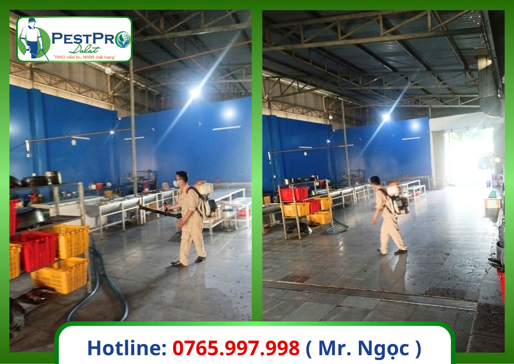 Xử Lý Côn Trùng Gây Hại Bình Thuận trong nhà xưởng may – kỹ thuật viên PestPro Đà Lạt phun sương diệt côn trùng