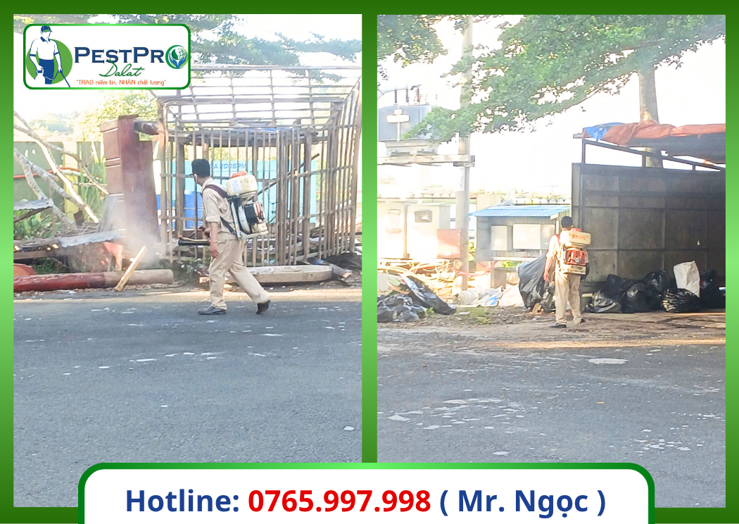 Công Ty Kiểm Soát Côn Trùng Tại Đà Lạt