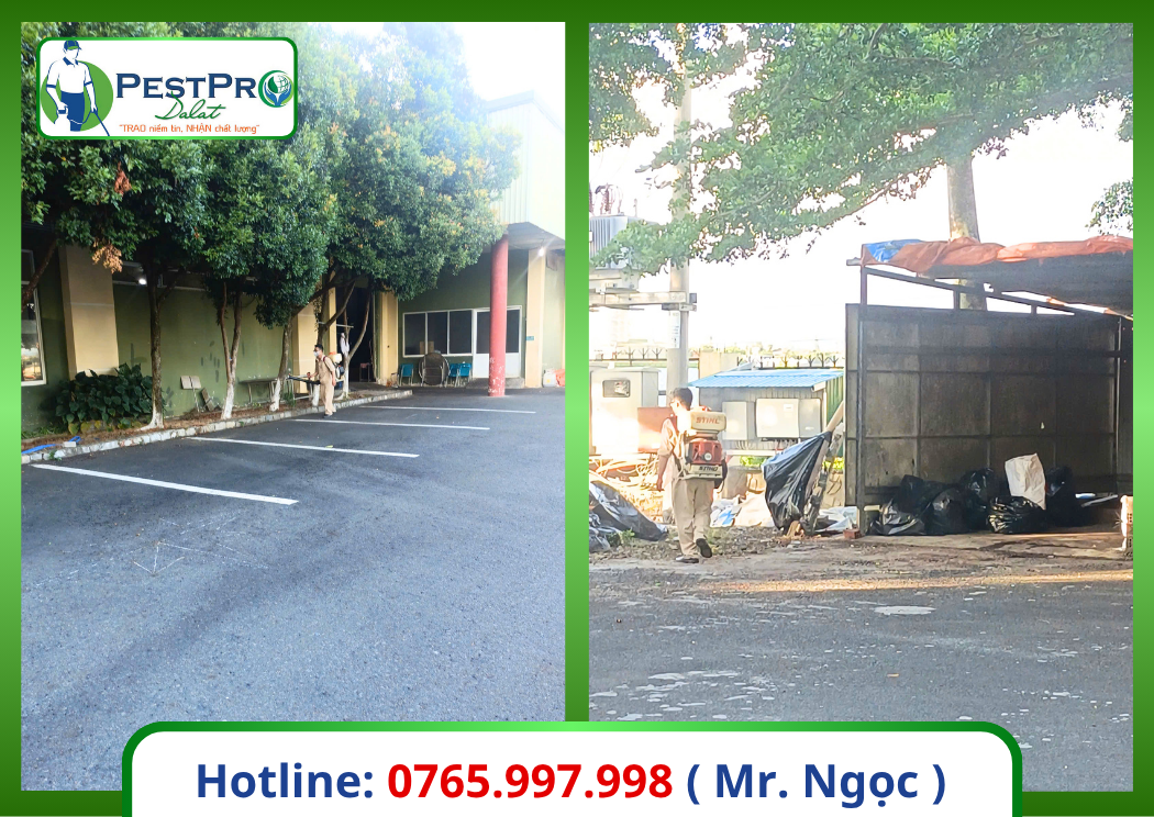 Dịch Vụ Diệt Côn Trùng Chuyên Nghiệp Tại Đà Lạt
