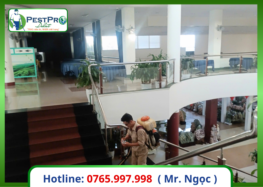 Dịch Vụ Diệt Côn Trùng Chuyên Nghiệp Tại Đà Lạt