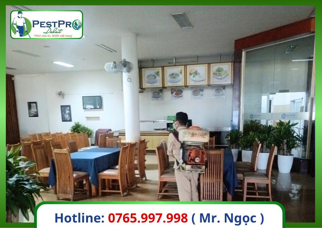 Dịch Vụ Diệt Côn Trùng Chuyên Nghiệp Tại Đà Lạt