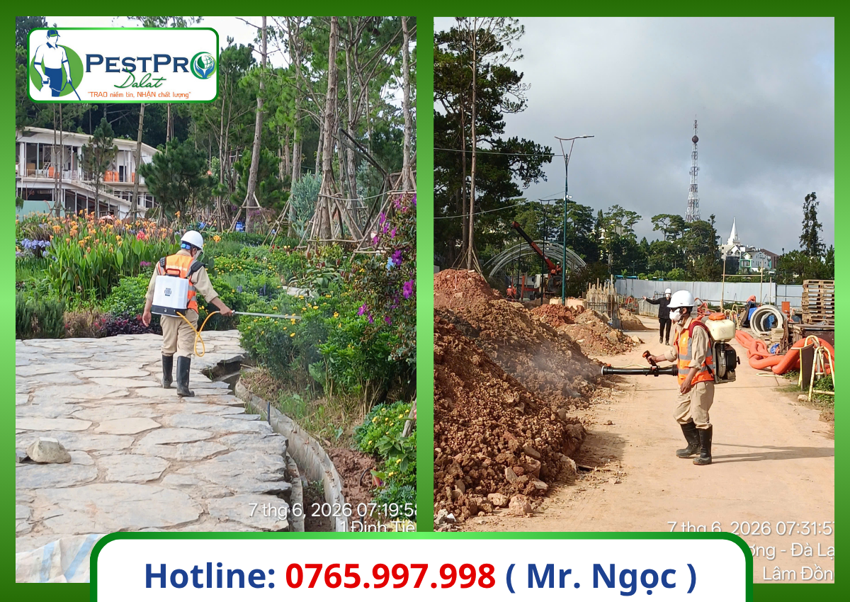 Dịch Vụ Diệt Côn Trùng Tại Lâm Đồng