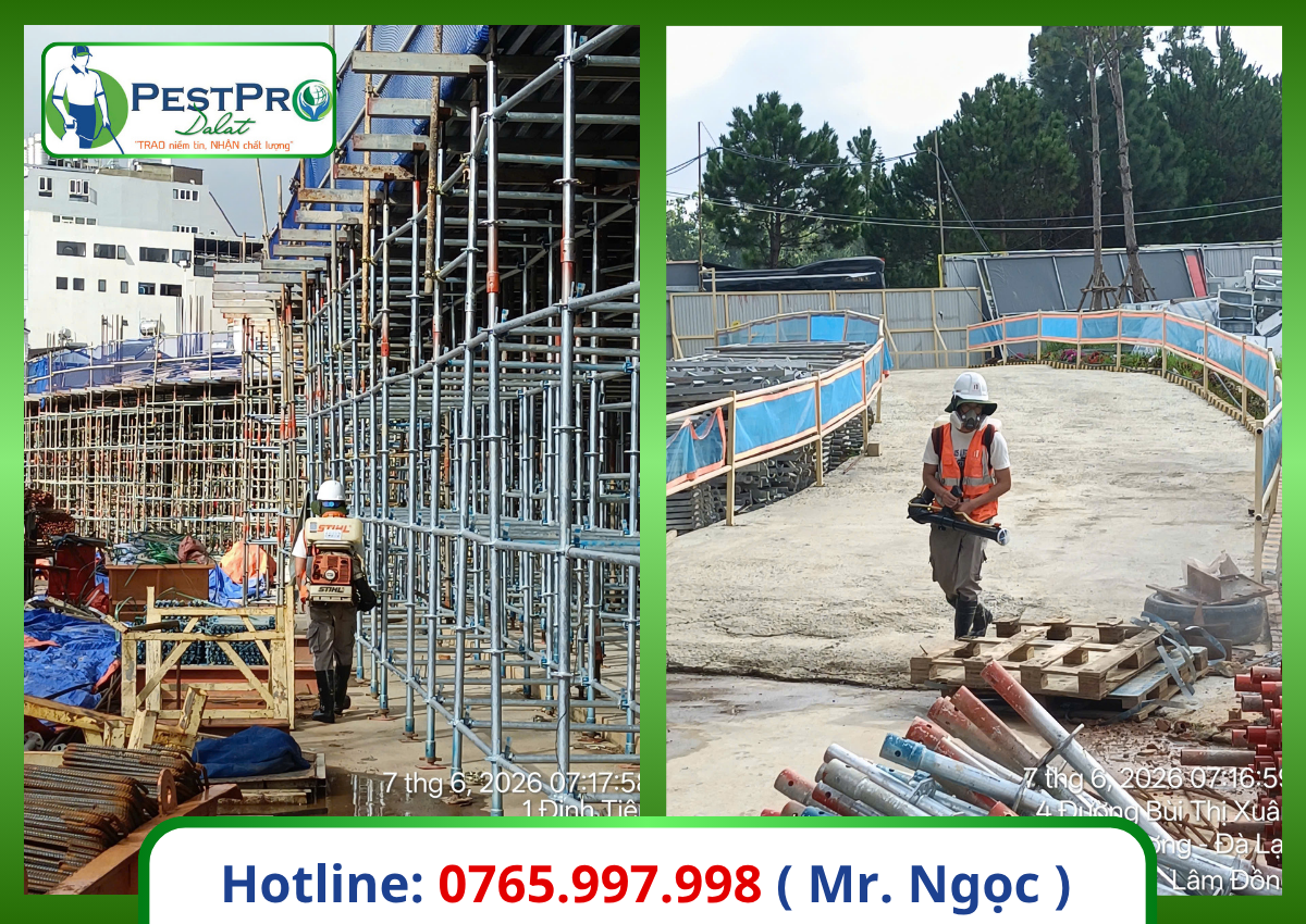 Dịch Vụ Diệt Côn Trùng Tại Lâm Đồng