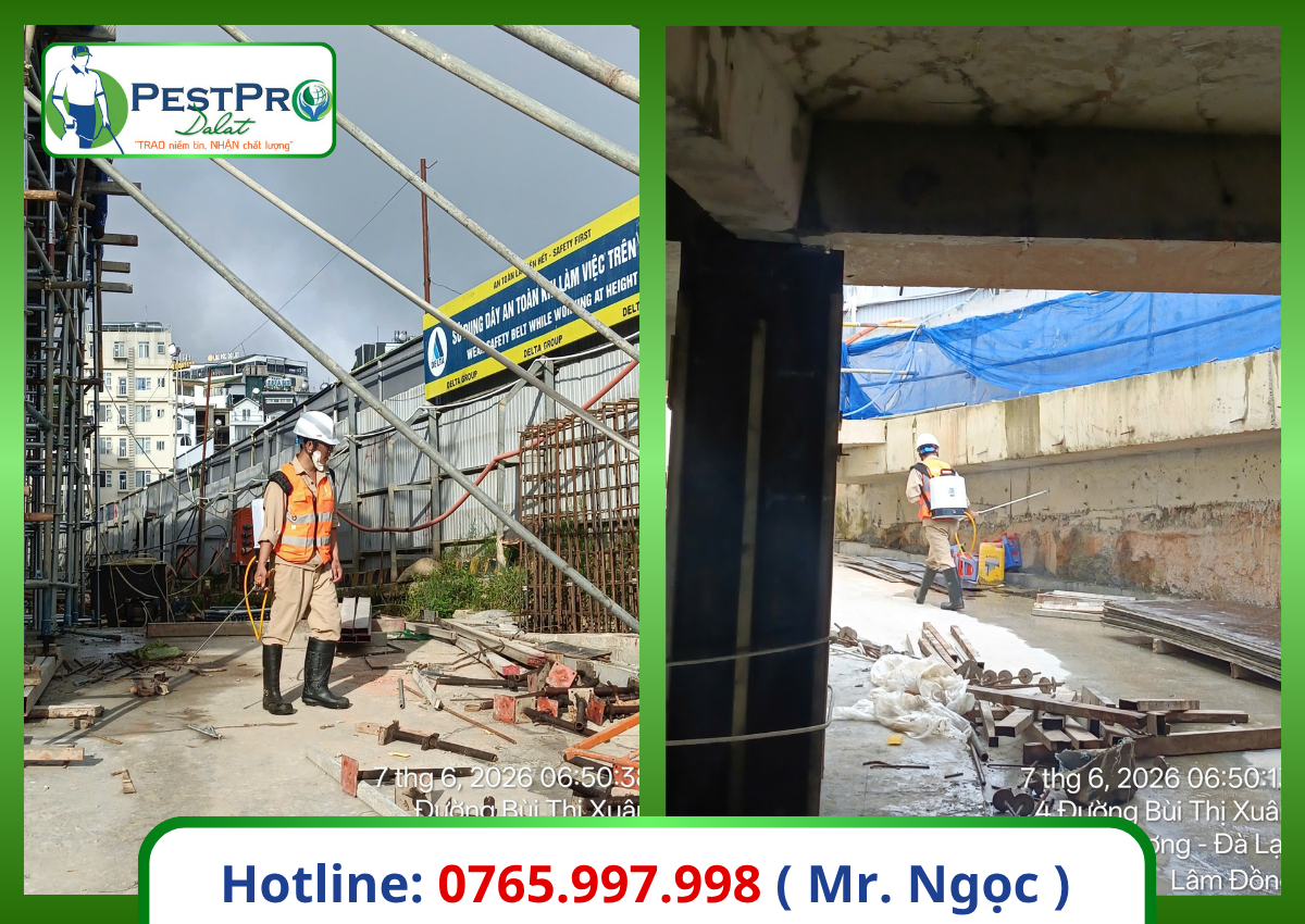 Dịch Vụ Diệt Côn Trùng Tại Lâm Đồng