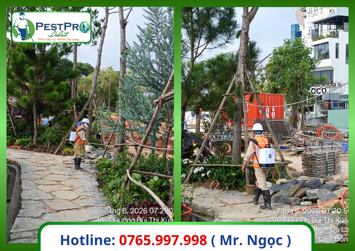 Xử Lý Côn Trùng Gây Hại Bình Thuận cho sân vườn, tiểu cảnh – phun sương diệt muỗi và côn trùng