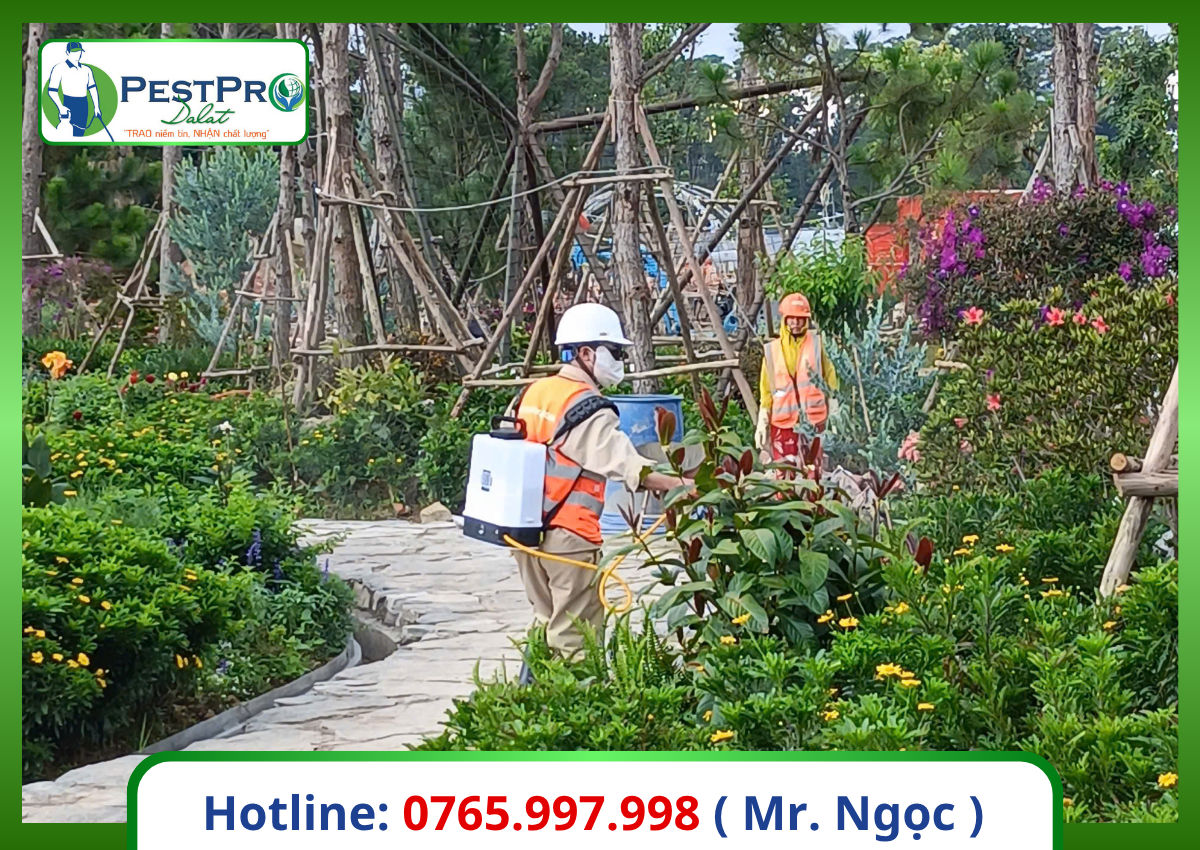 Diệt Côn Trùng Tận Gốc Bình Thuận cho sân vườn nhiều chậu cây bằng máy phun sương đeo lưng