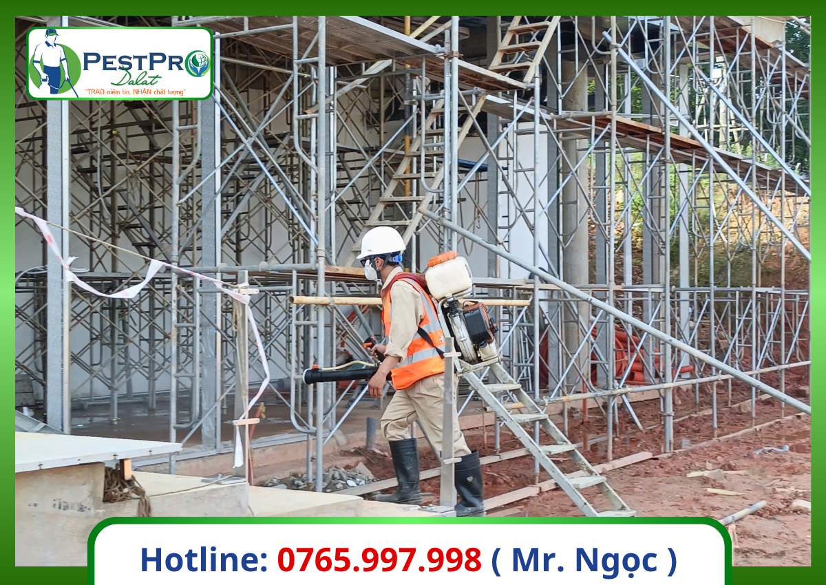 Diệt mối tận gốc