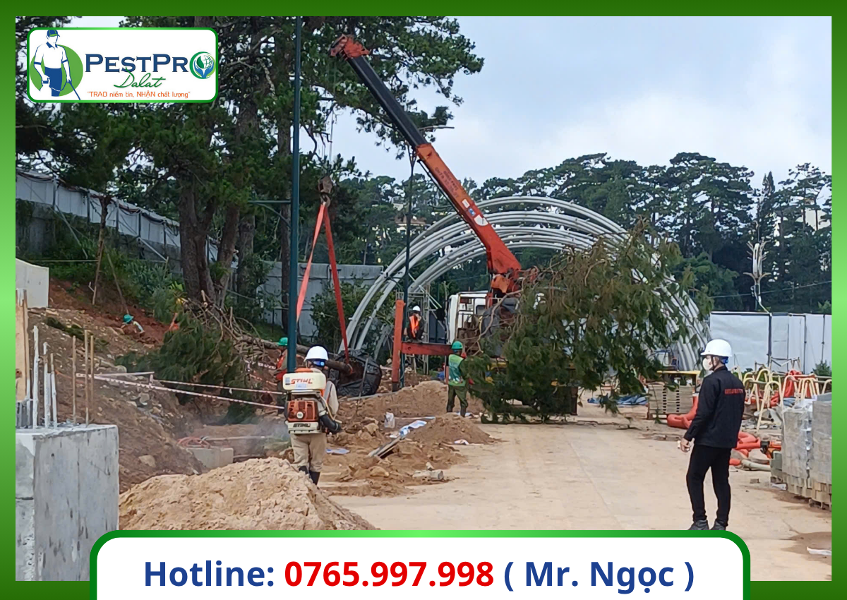 Công ty diệt côn trùng Đà Lạt