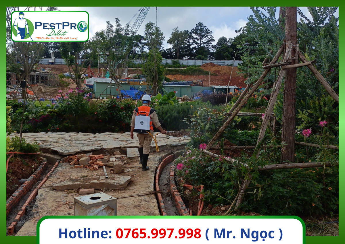 Dịch vụ diệt côn trùng tận gốc Bình Thuận phun bụi cây sát công trình, trường học, cơ quan