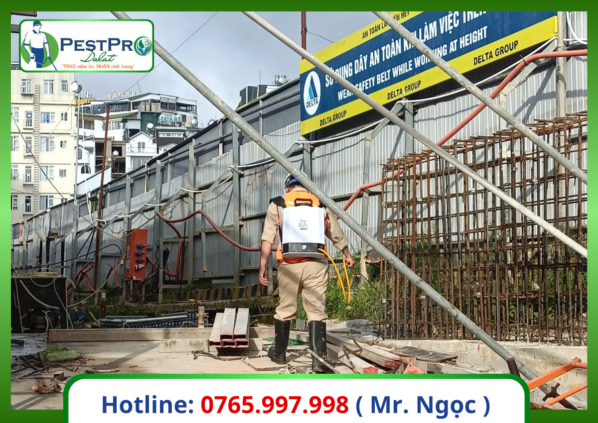 Diệt mối tận gốc