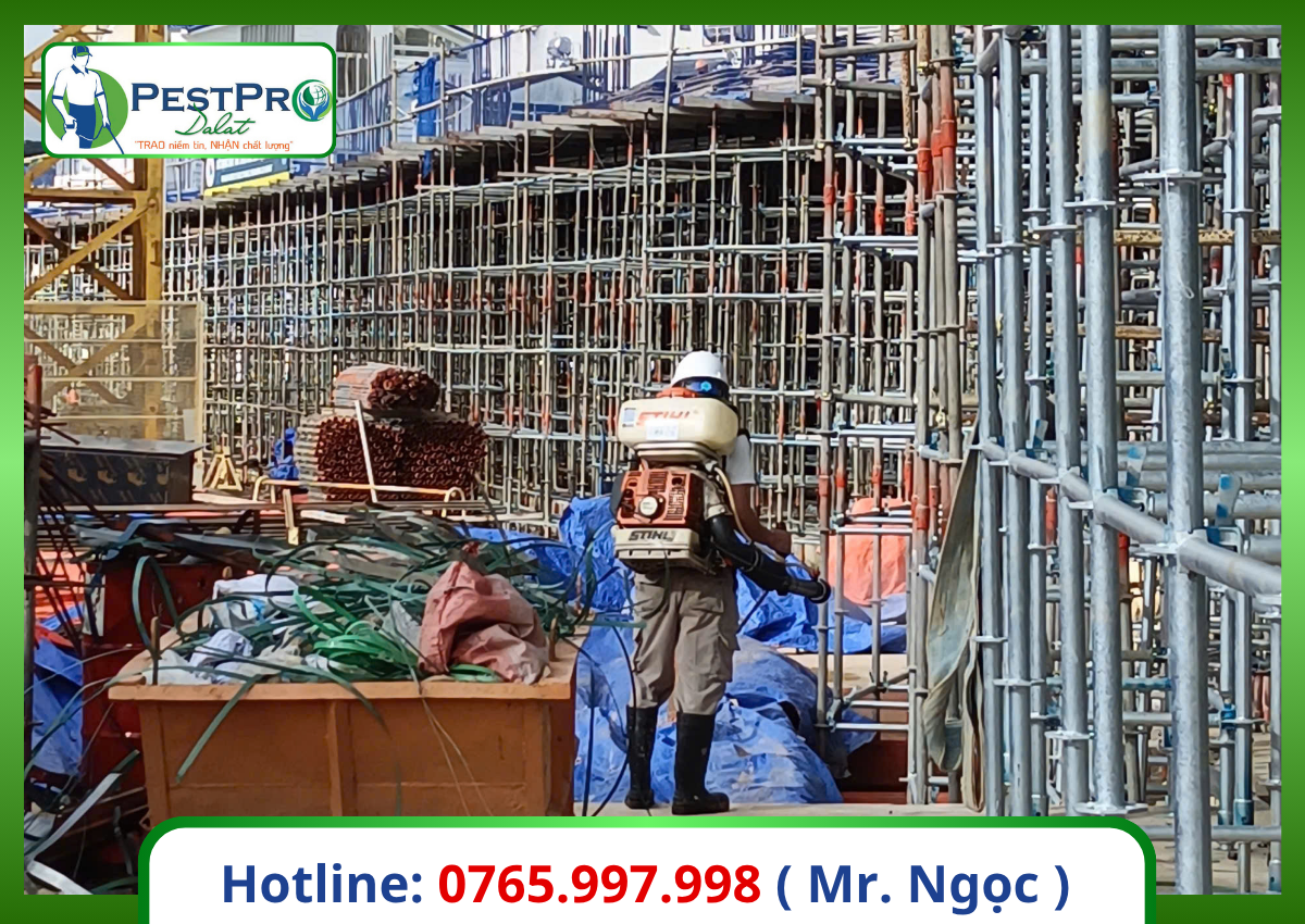 Diệt mối tận gốc