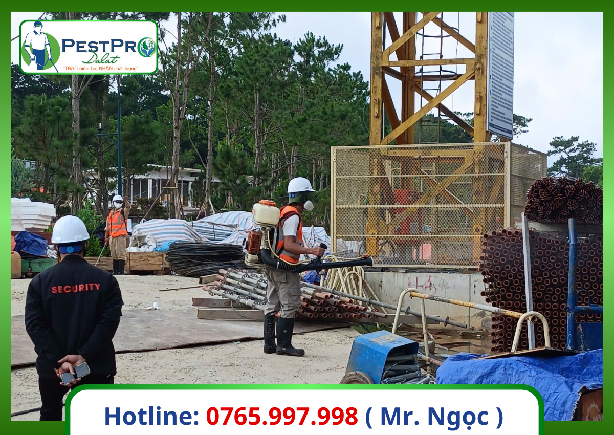 Công ty diệt mối tại Đà Lạt