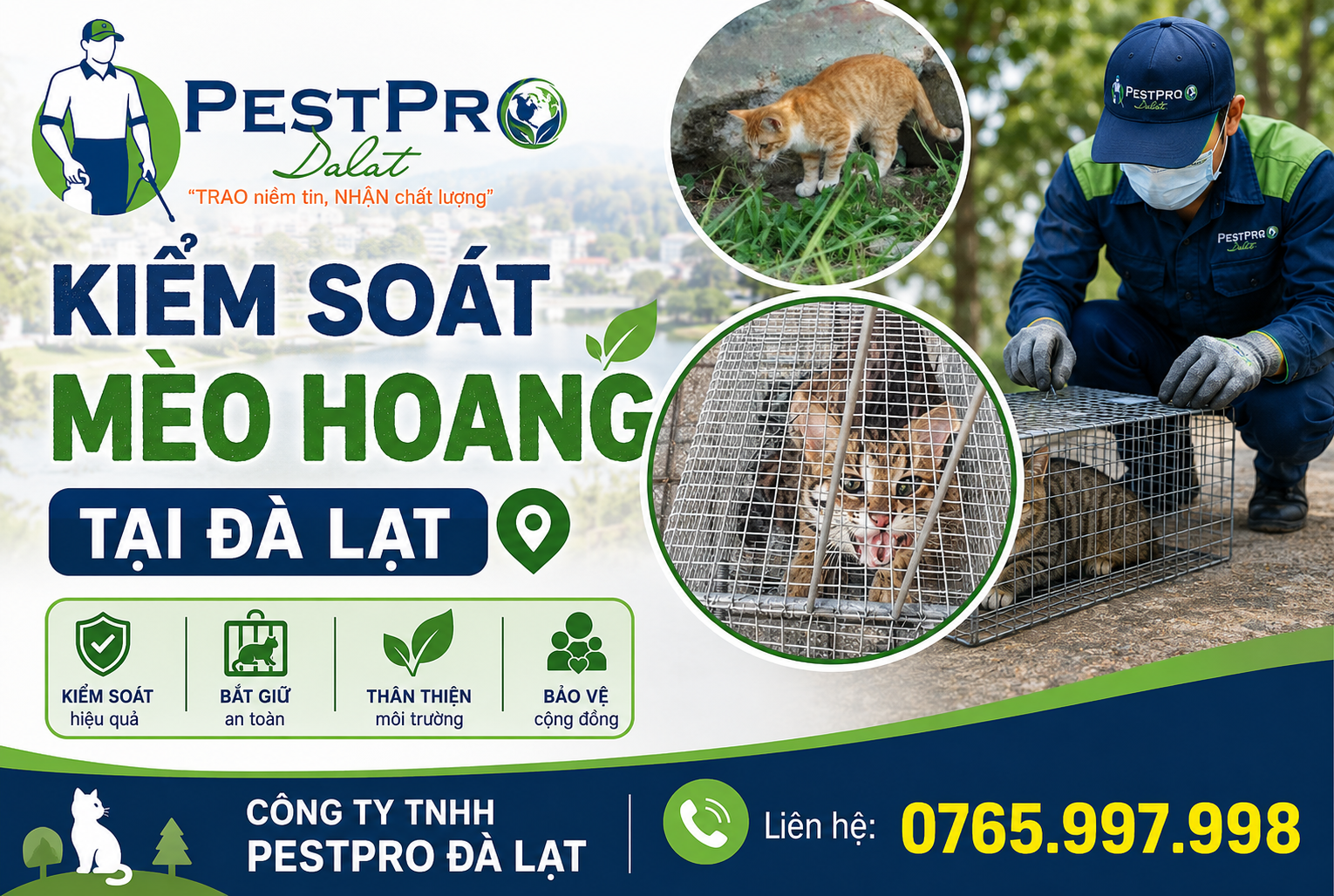 Kiểm Soát Mèo Hoang Tại Đà Lạt - Dịch Vụ Bắt Mèo Hoang Chuyên Nghiệp PestPro Đà Lạt