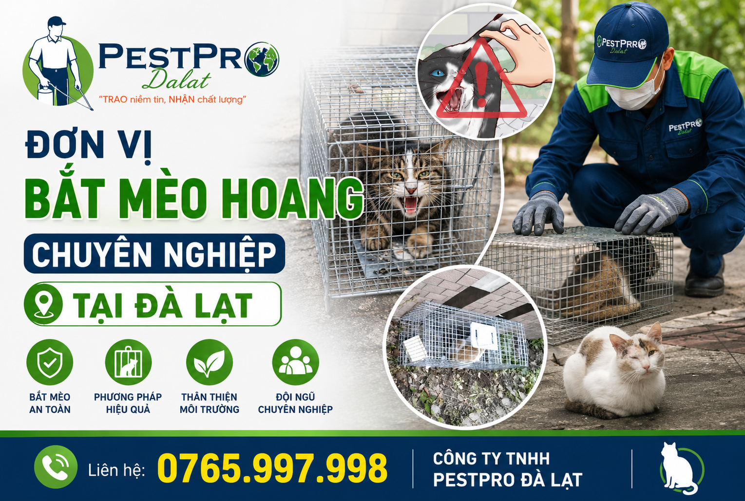 Đơn Vị Bắt Mèo Hoang Chuyên Nghiệp Tại Đà Lạt - PestPro Đà Lạt Uy Tín Hàng Đầu