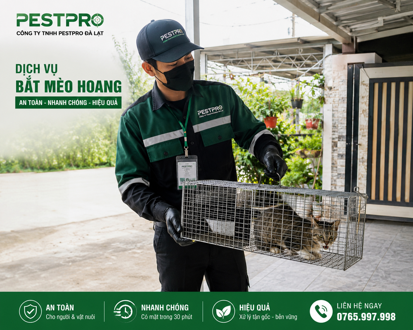 Kết Quả Bắt Mèo Hoang Thành Công Bằng Bẫy Lồng Của PestPro Đà Lạt