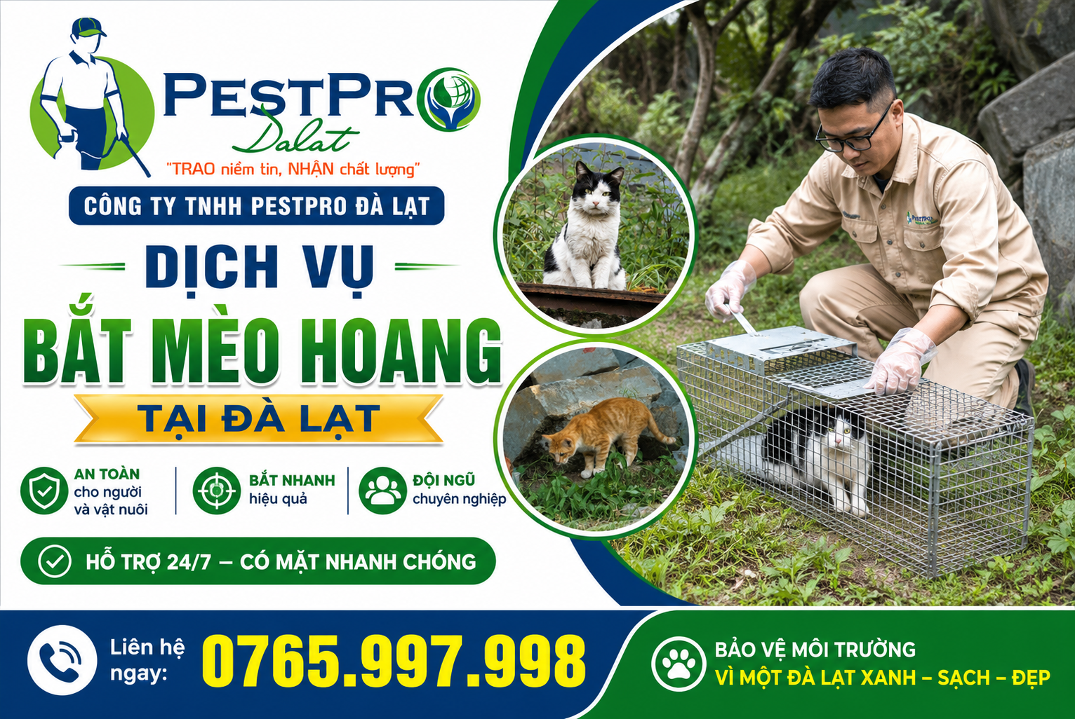 Dịch Vụ Bắt Mèo Hoang Tại Đà Lạt Uy Tín Của Công Ty TNHH PestPro Đà Lạt