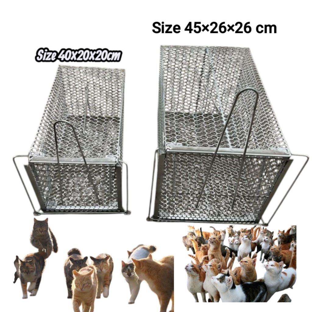 Dụng Cụ Bắt Mèo Hoang Chuyên Nghiệp Gồm Vợt Lưới Và Lồng Bẫy Của PestPro Đà Lạt