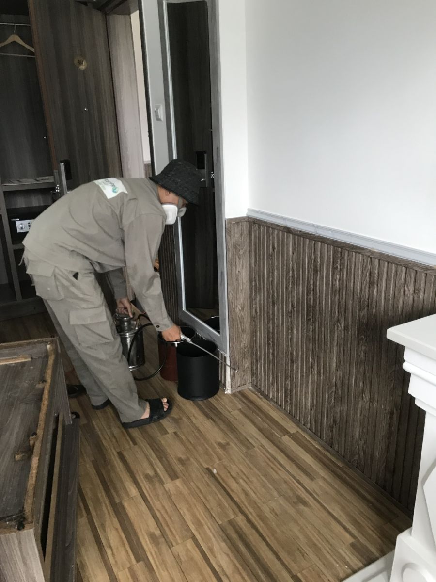 Công Ty Diệt Mối Uy Tín PestPro Đà Lạt dùng ống tiêm bơm thuốc diệt mối vào khung cửa gỗ