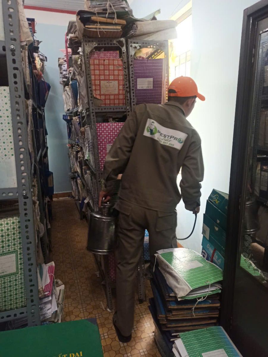 PESTPRO ĐÀ LẠT kiểm tra khu vực kho hồ sơ bị mối xâm nhập