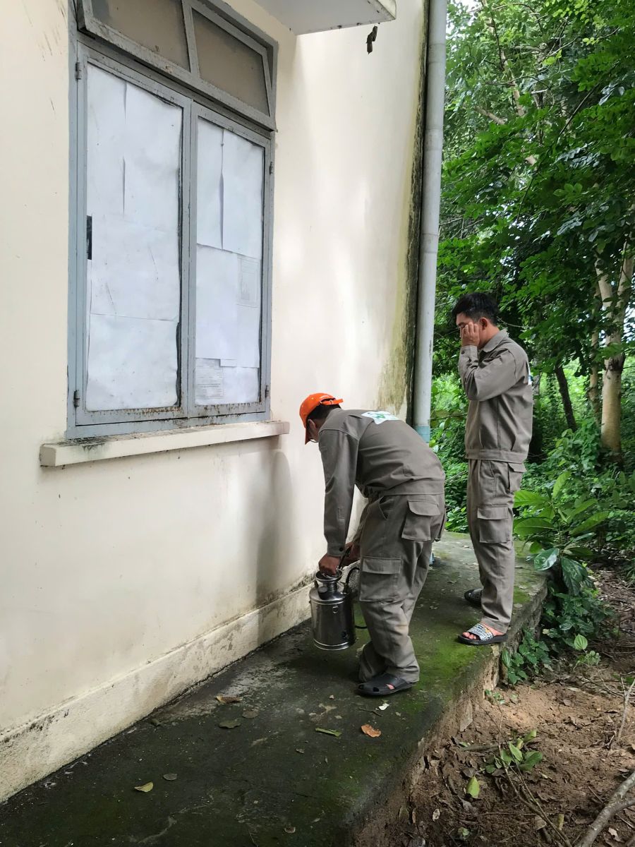 DIỆT MỐI TẬN GỐC TẠI PHAN THIẾT xử lý mối trong kho lưu trữ tài liệu