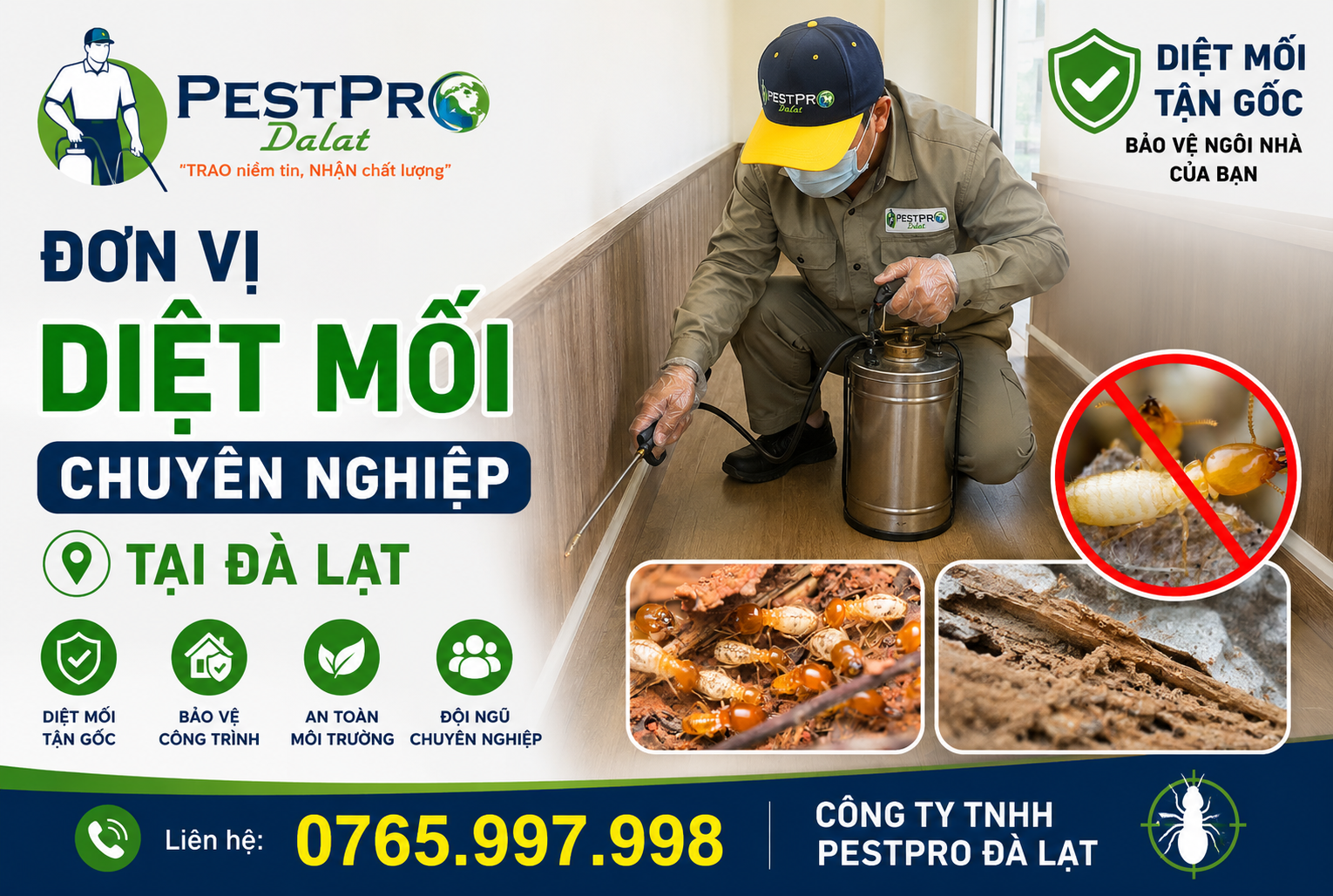 Đơn Vị Diệt Mối Chuyên Nghiệp Tại Đà Lạt