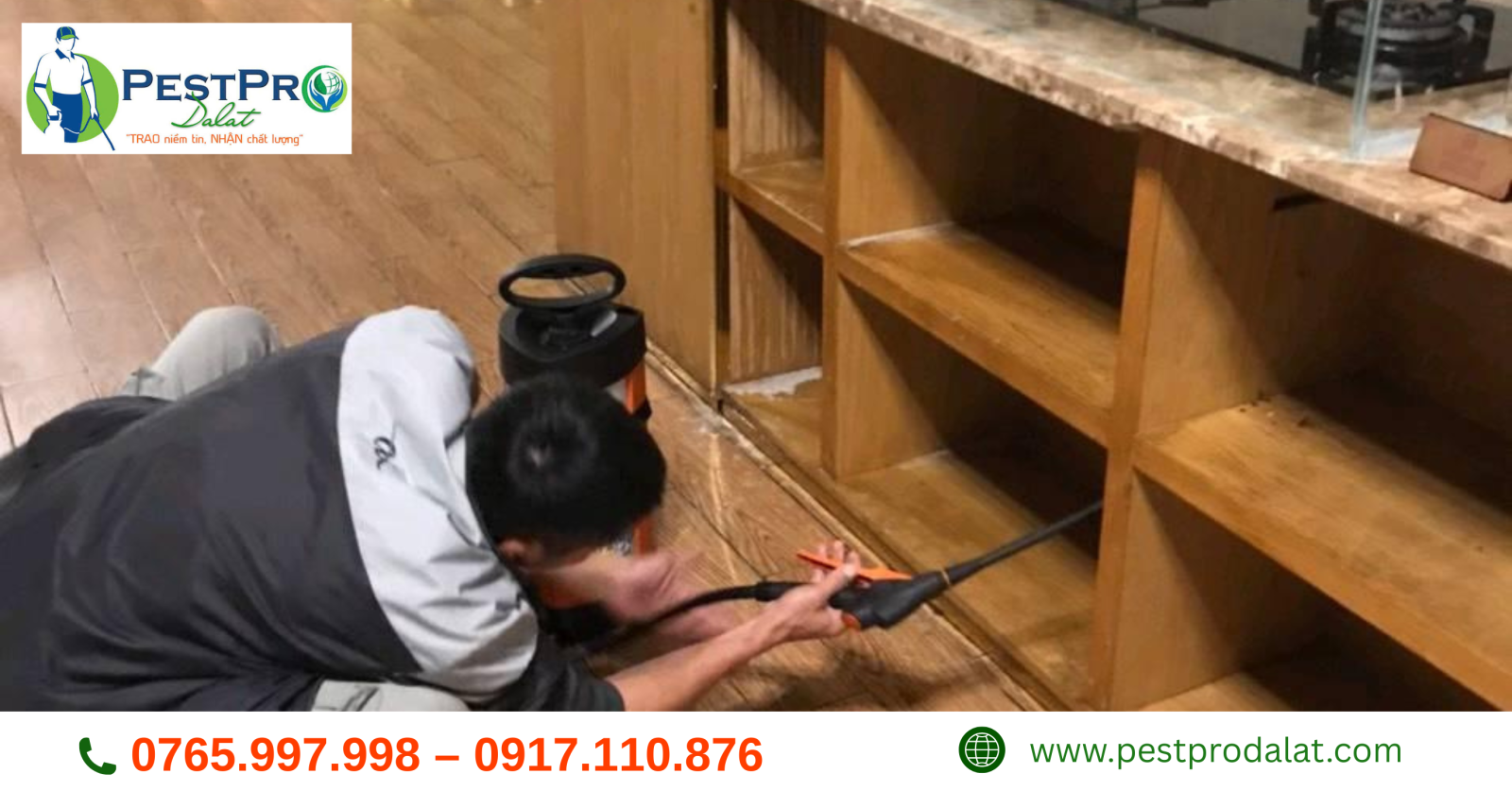 Diệt mối tận gốc