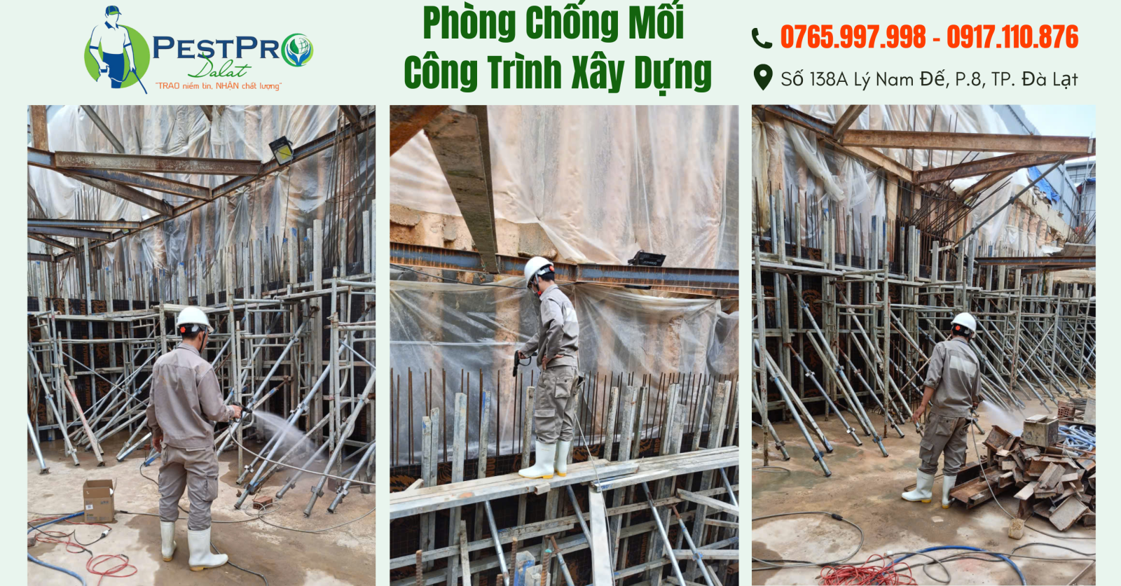 Công ty diệt mối tại Đà Lạt