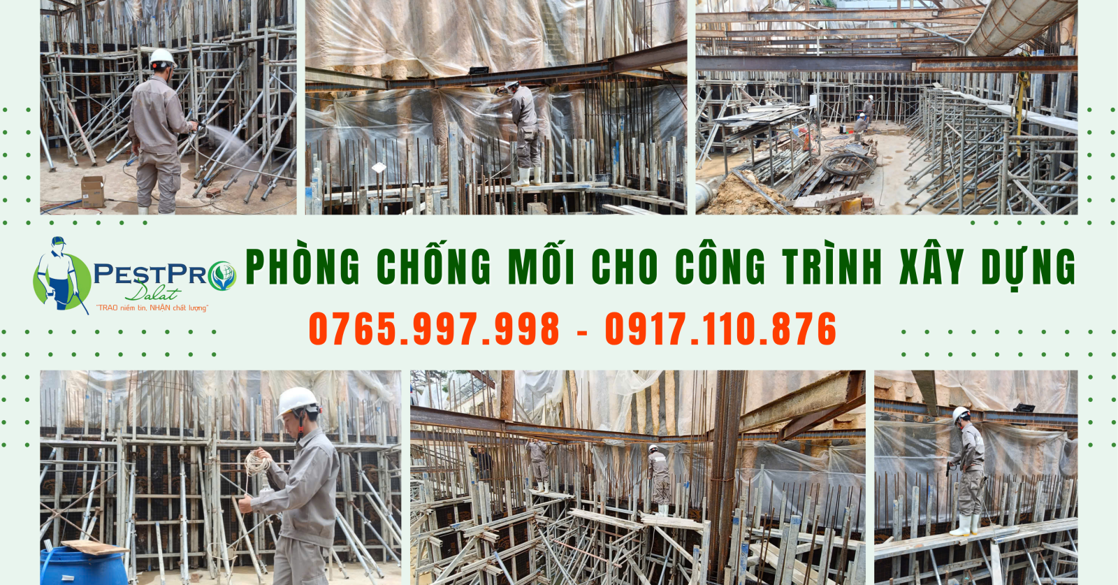 Công ty diệt mối tại Đà Lạt